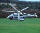 Великий Кугар вертолетов EC725